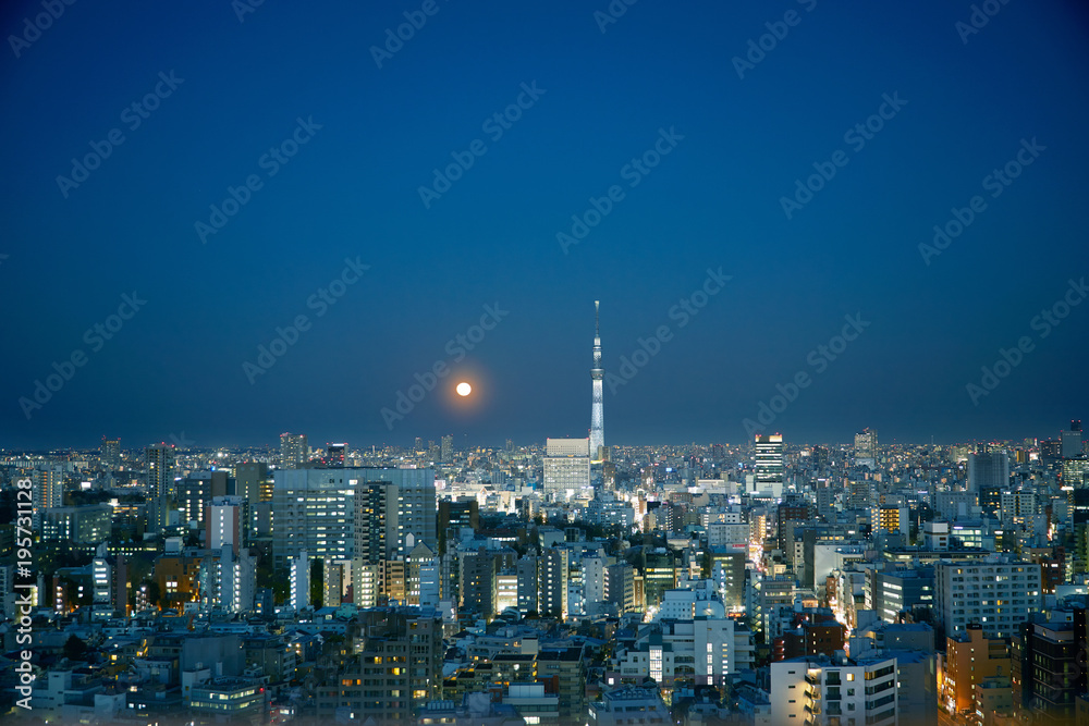 東京　夜景