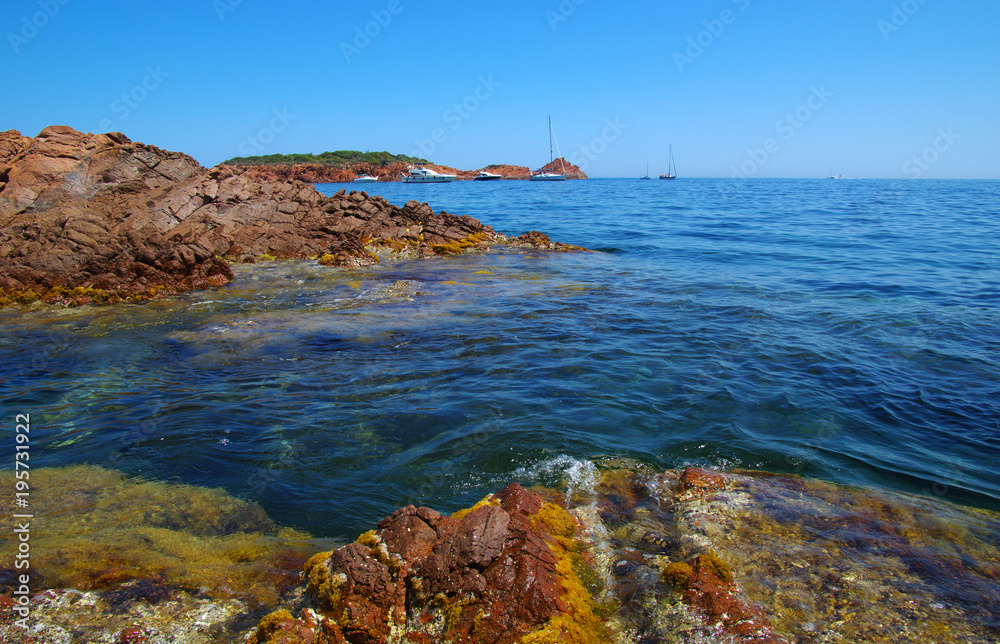 加勒比海夏海