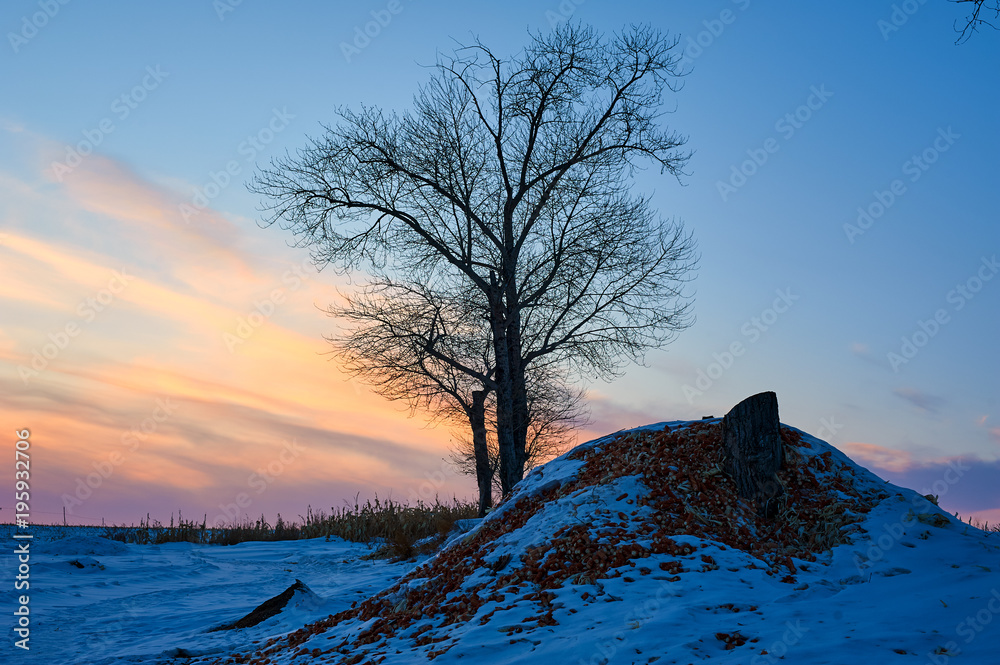 The countryside sunset landscape.