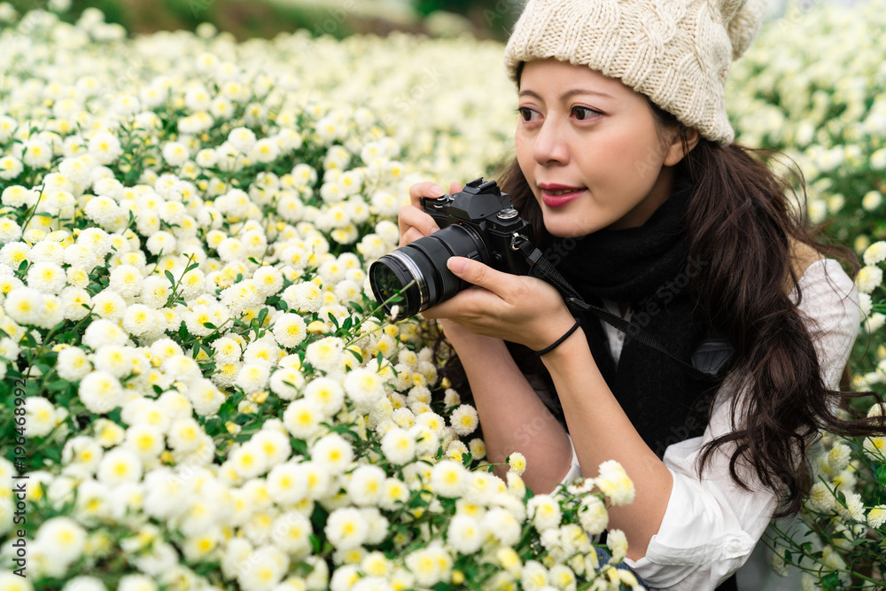 游客赏菊花田