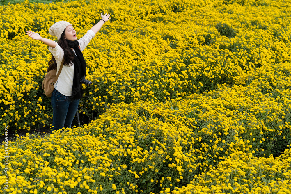 女人欣赏菊花田风光