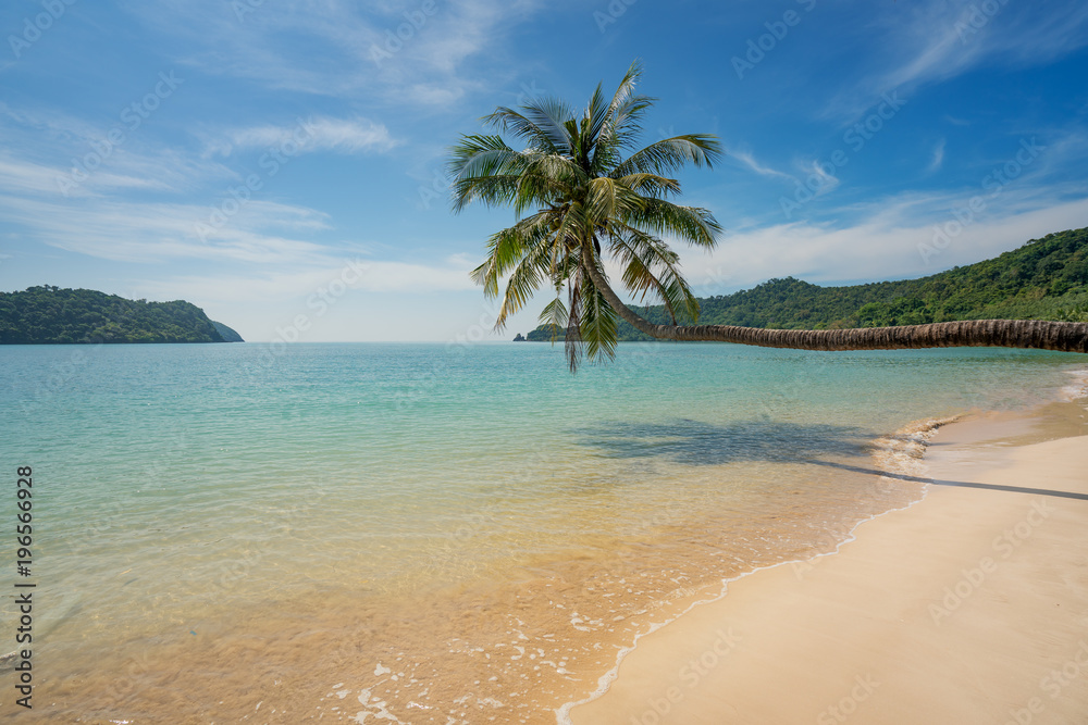 泰国普吉岛夏季海滩海上的椰子树。夏季，旅游，度假和度假公司