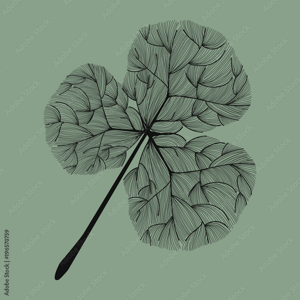 Illustration of leaf isolated background