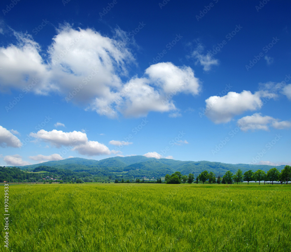 山地景观之夏