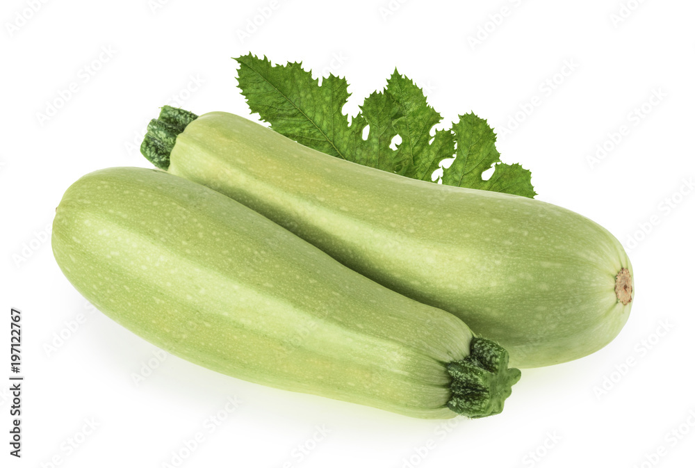 Squash vegetable marrow zucchini isolated on white background