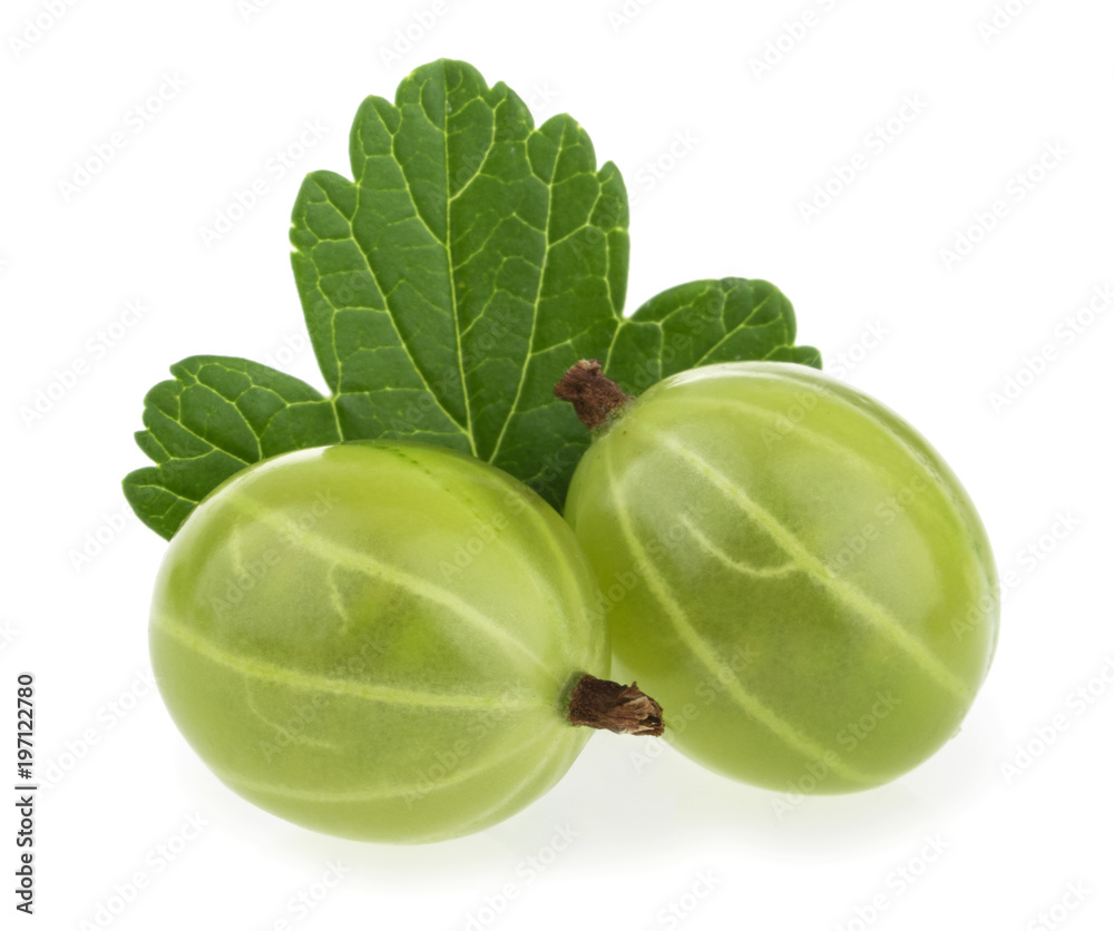 gooseberry isolated on white background