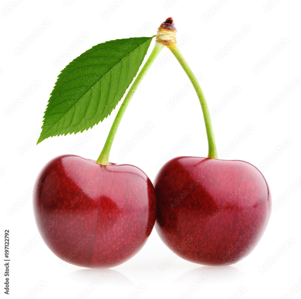 Cherries isolated on white background