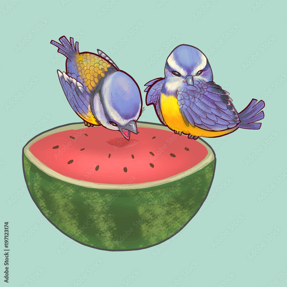 Hand drawn two little birds on watermelon