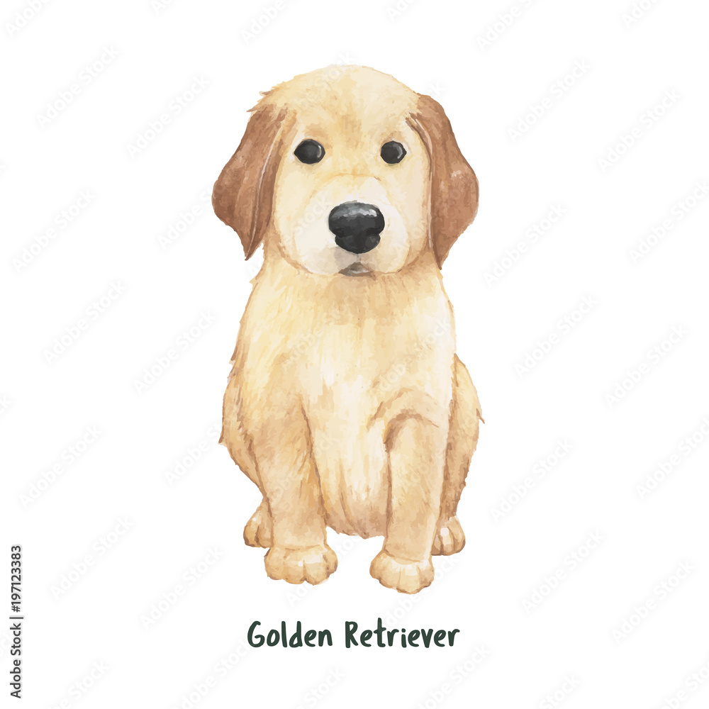 Illustration of a golden retriever puppy