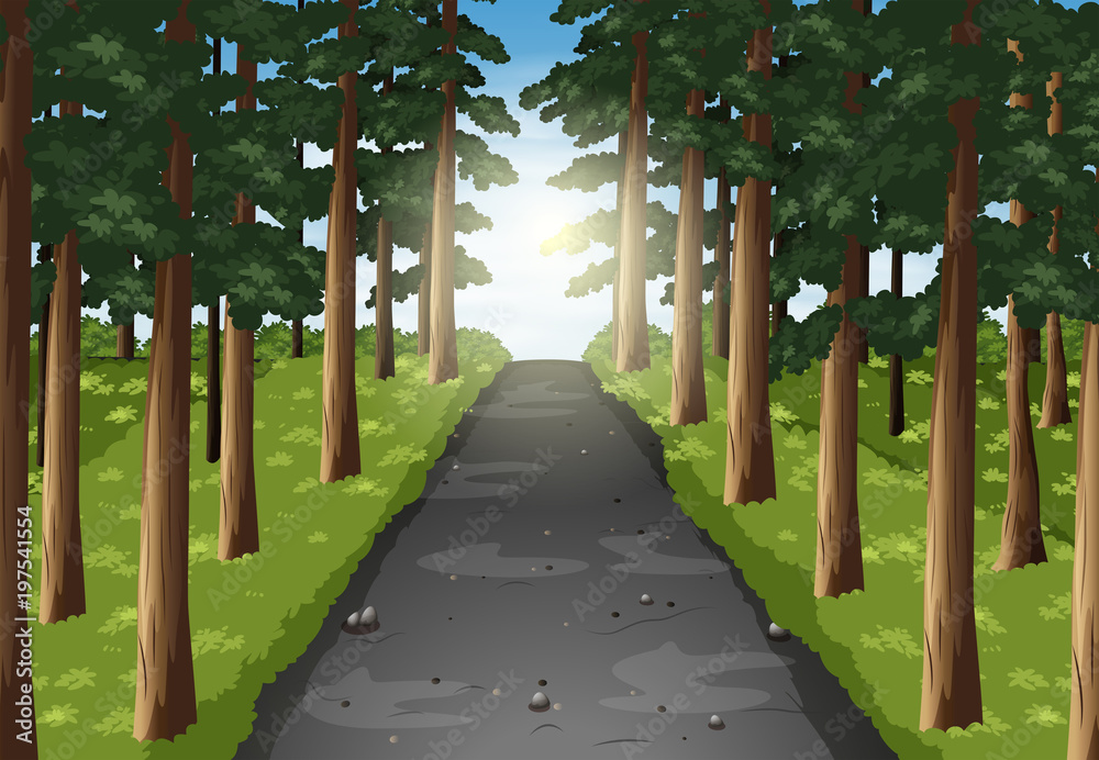 Background scene of road in the forest