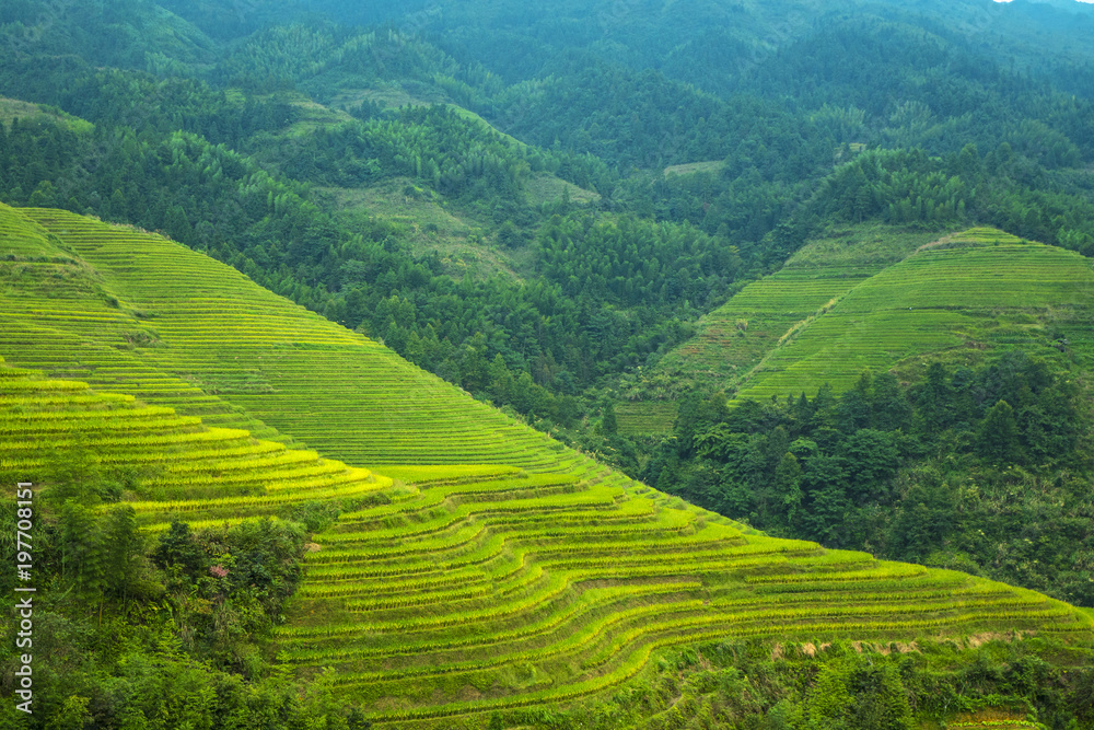 中国龙脊地区龙胜的河岸阶地