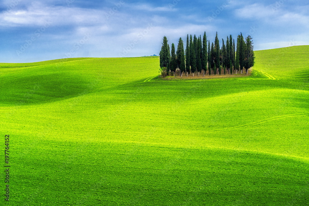 Green Hills Landscape of Tuscany, Italy