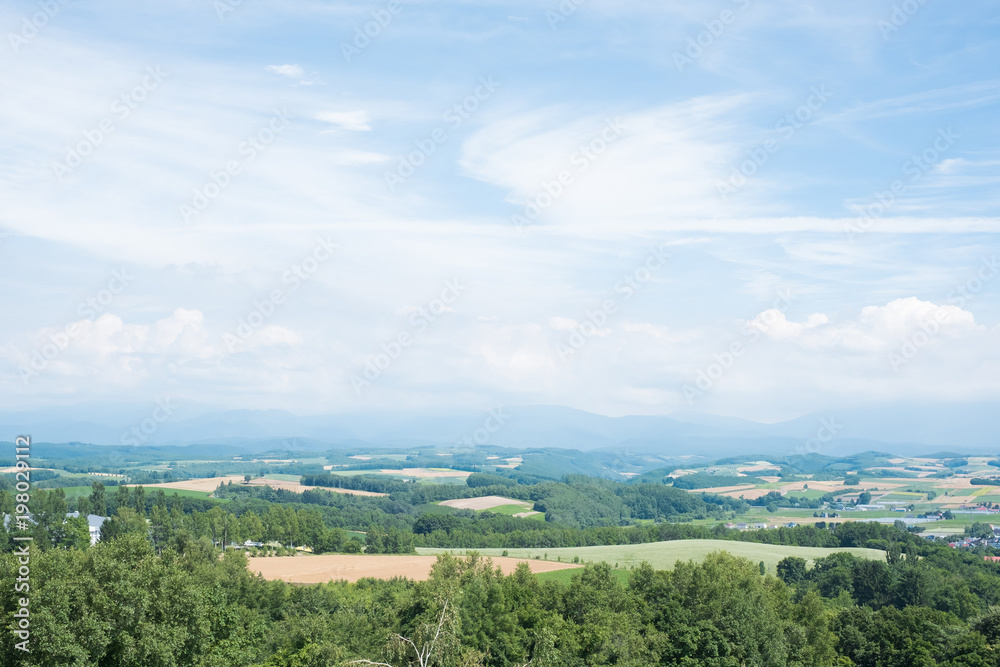 旭川镇景观