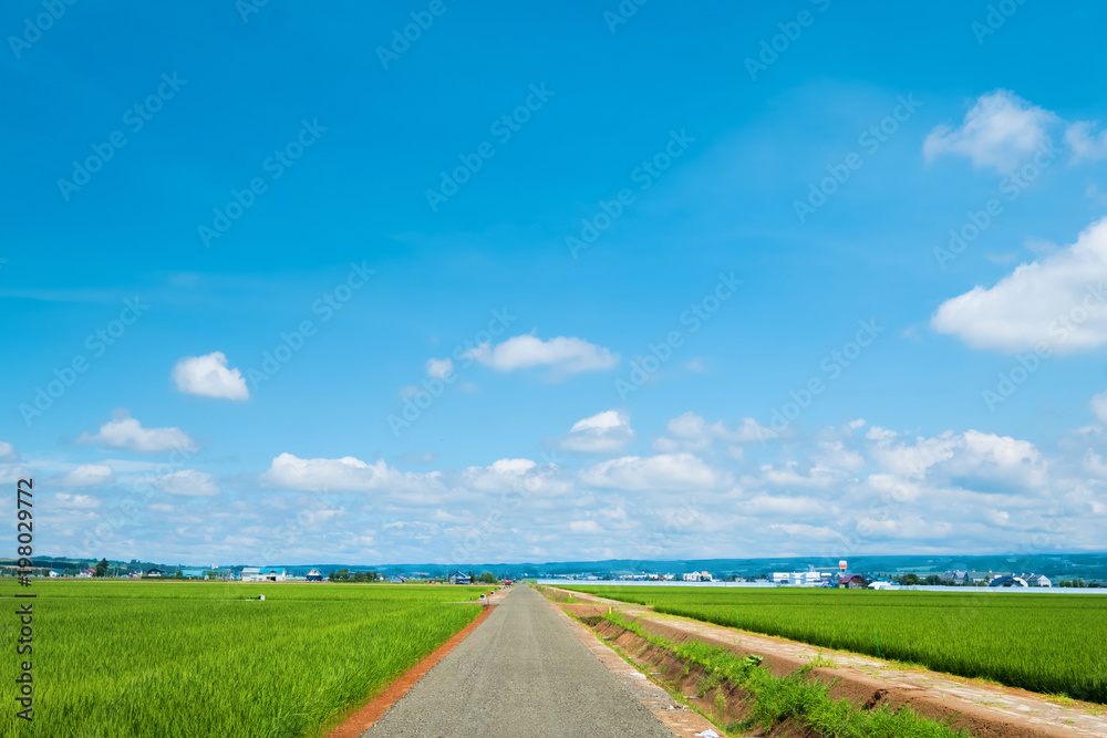 美丽的乡村景观