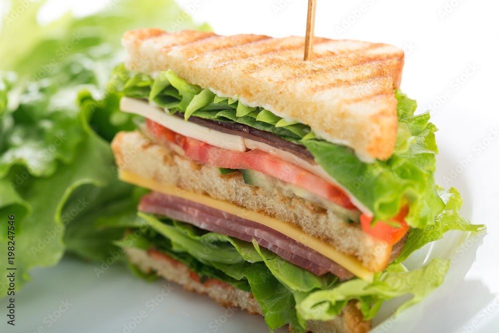 Fresh appetizing sandwich with vegetables