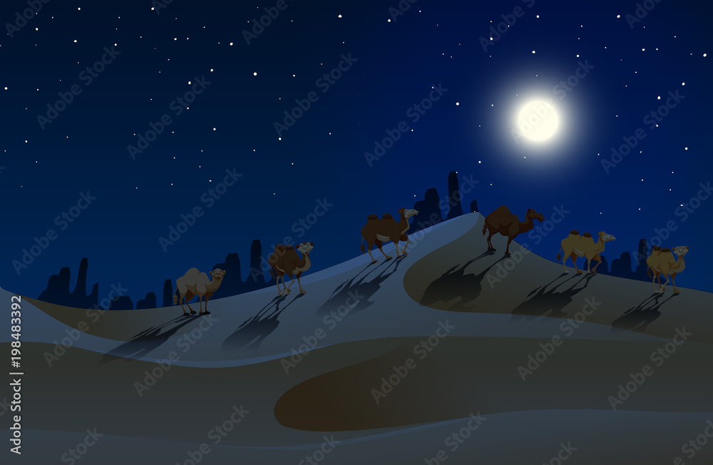 Camels walking across desert at night