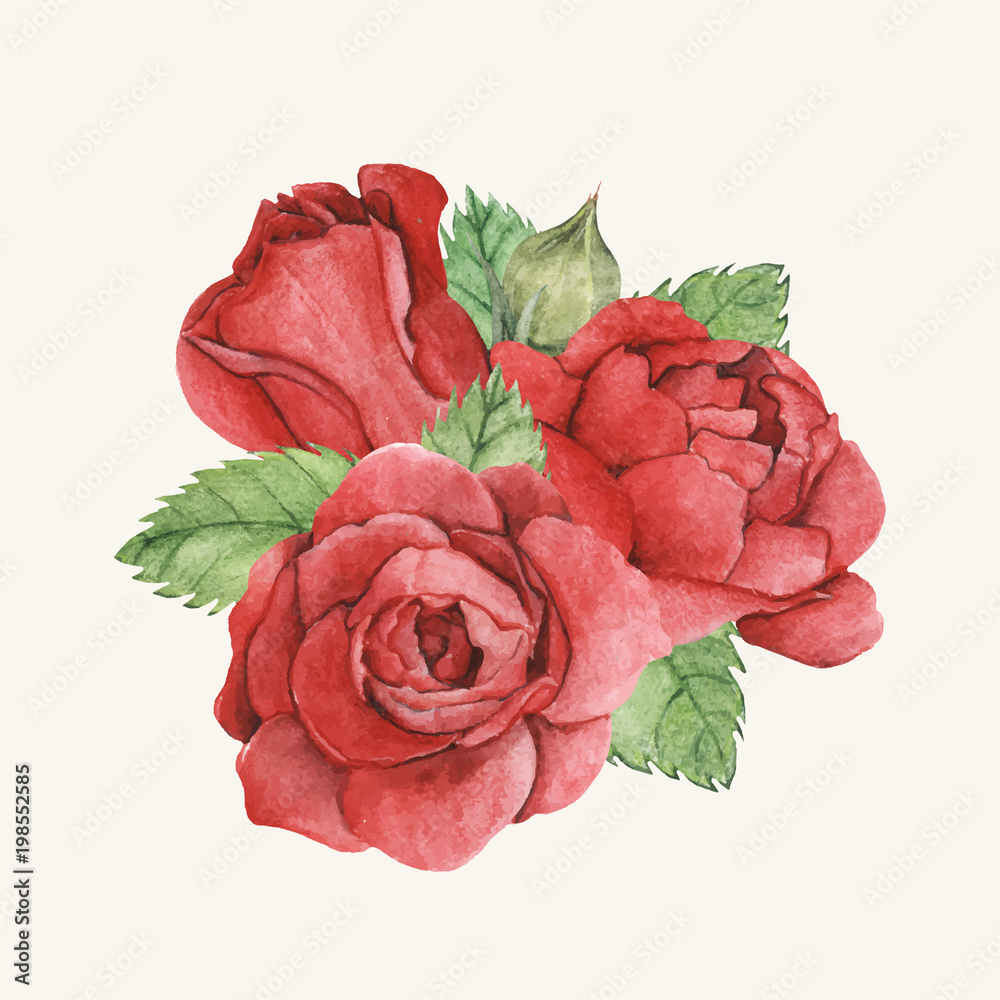 Hand drawn red rose isolated