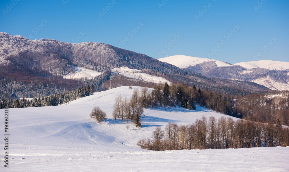 山林景观