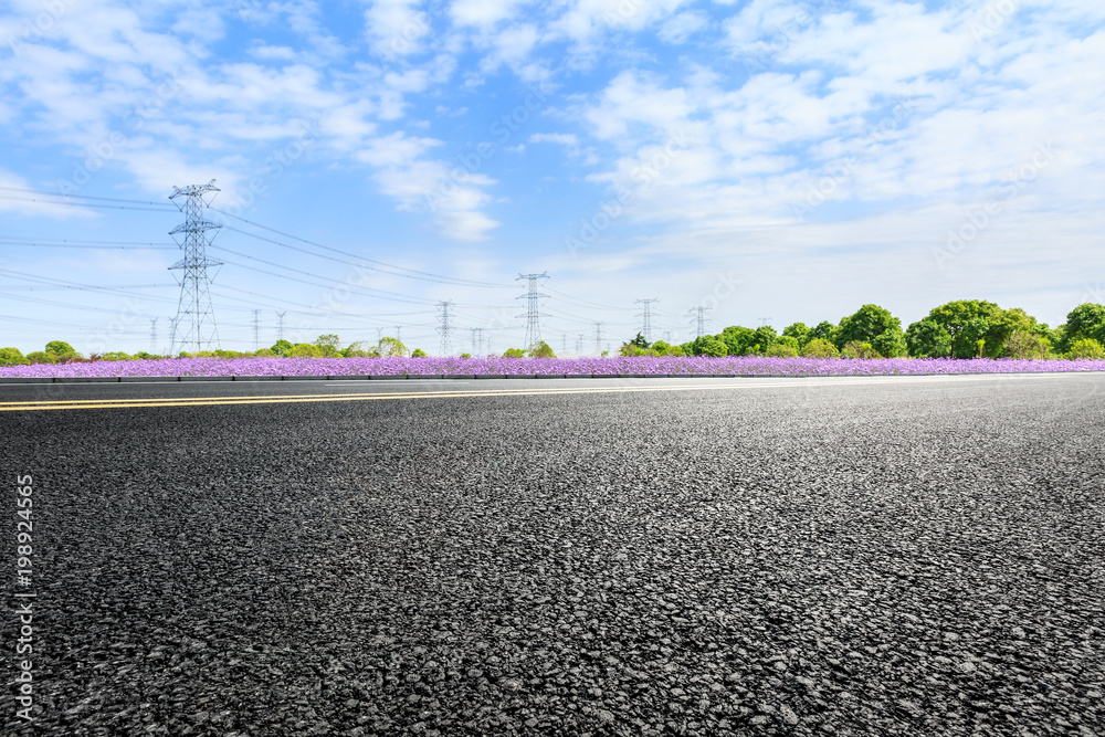 asphalt road and green forest in summer season