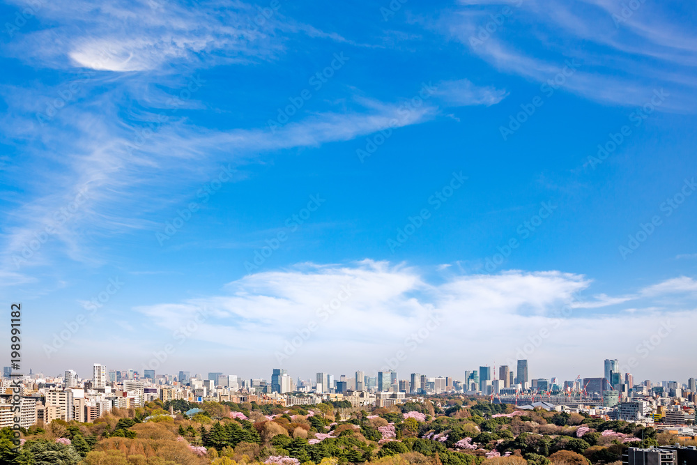 桜が咲いた東京の景色