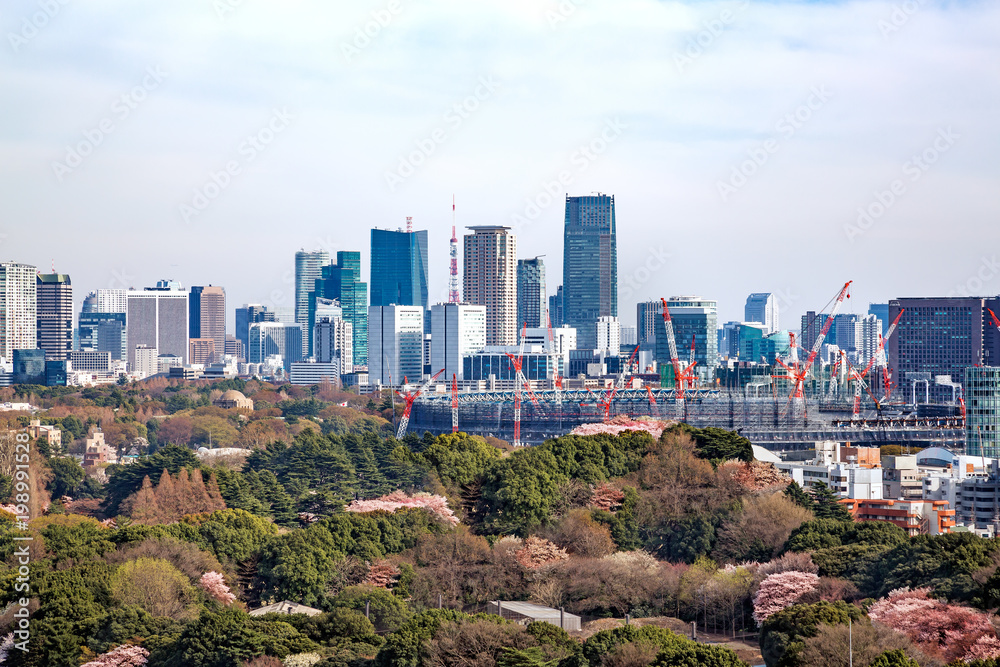 桜が咲いた東京の景色