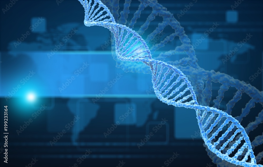 Science Molecular DNA Model Structure