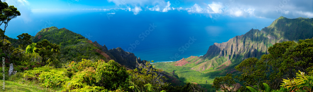 夏威夷考艾岛海洋全景