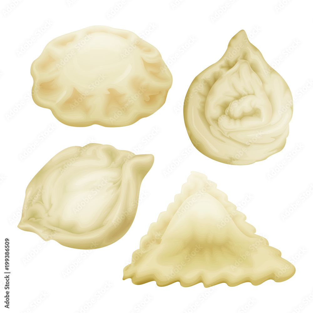 矢量逼真饺子套装。Vareniki pierogi xiao bao momo饺子tortellini manti。填充猪肉