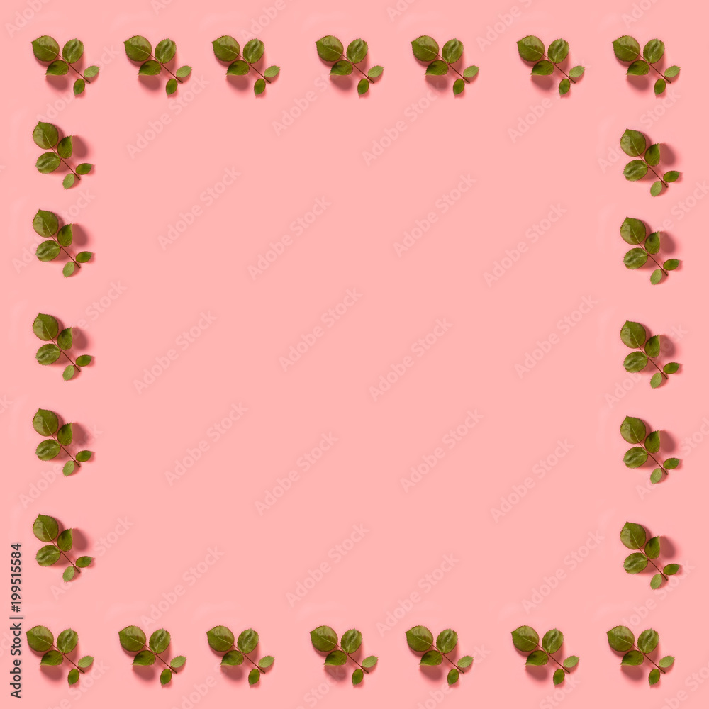 Green little leaves on a pastel pink background