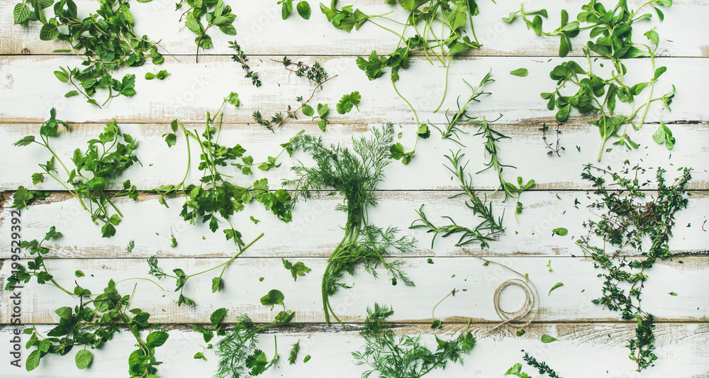 各种新鲜的绿色草本植物的扁平布局。香芹、薄荷、dill、香菜、迷迭香、百里香配乡村风味的wh