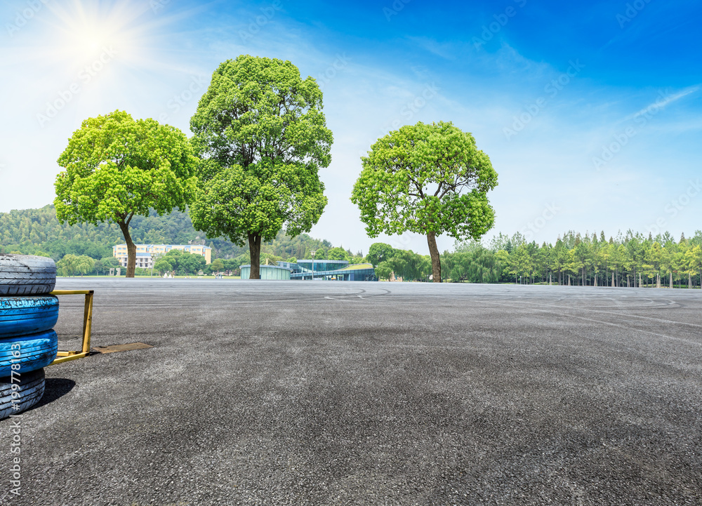 空旷的柏油路面和夏天的绿树