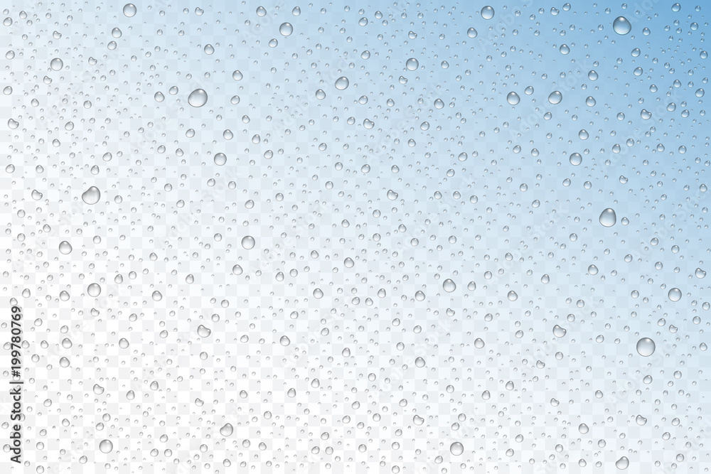 Vector realistic water drops condensed