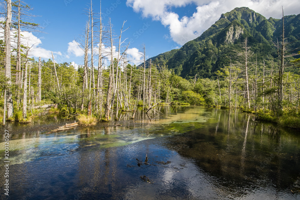 神木町，长野县日本北部阿尔卑斯山的热门度假胜地