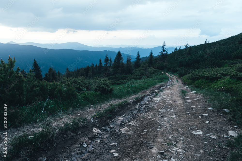 春天美丽的喀尔巴阡山之路。旅行概念背景