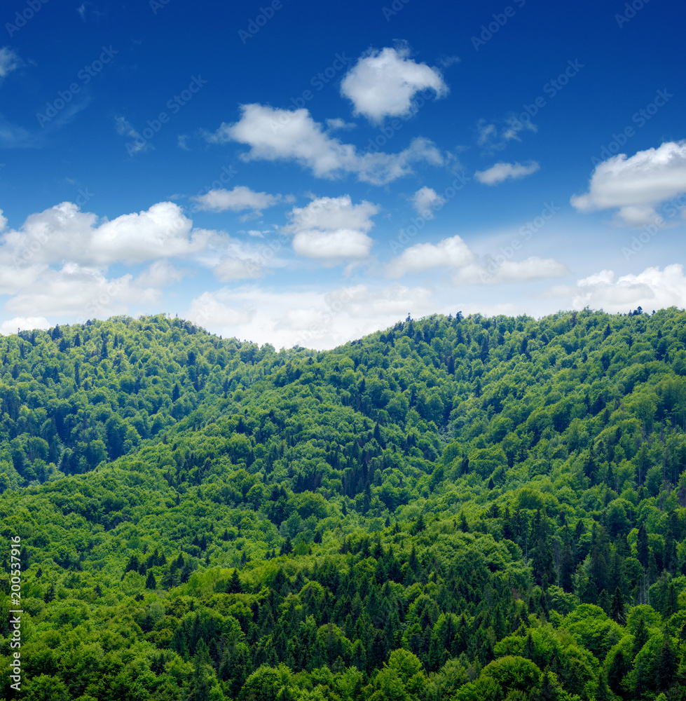 山地景观之夏