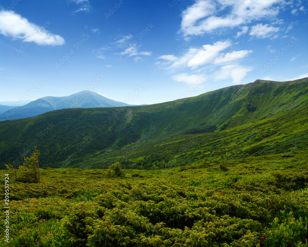 夏季山地景观