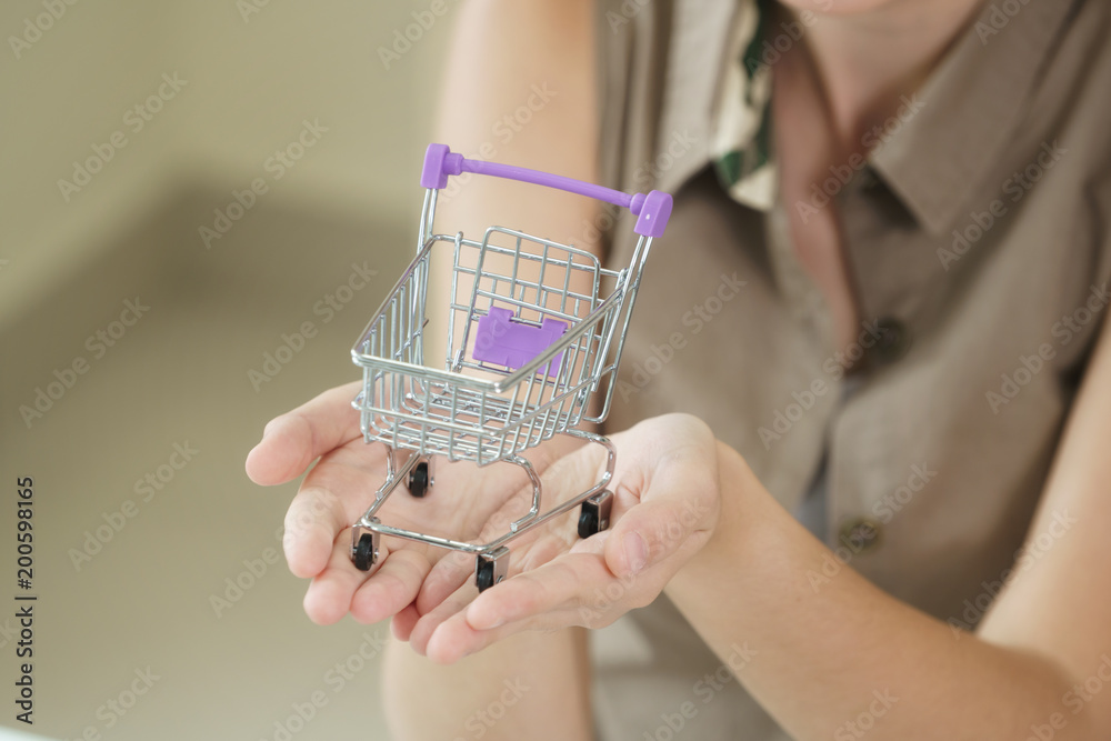 Woman holding a small shopping trolley.