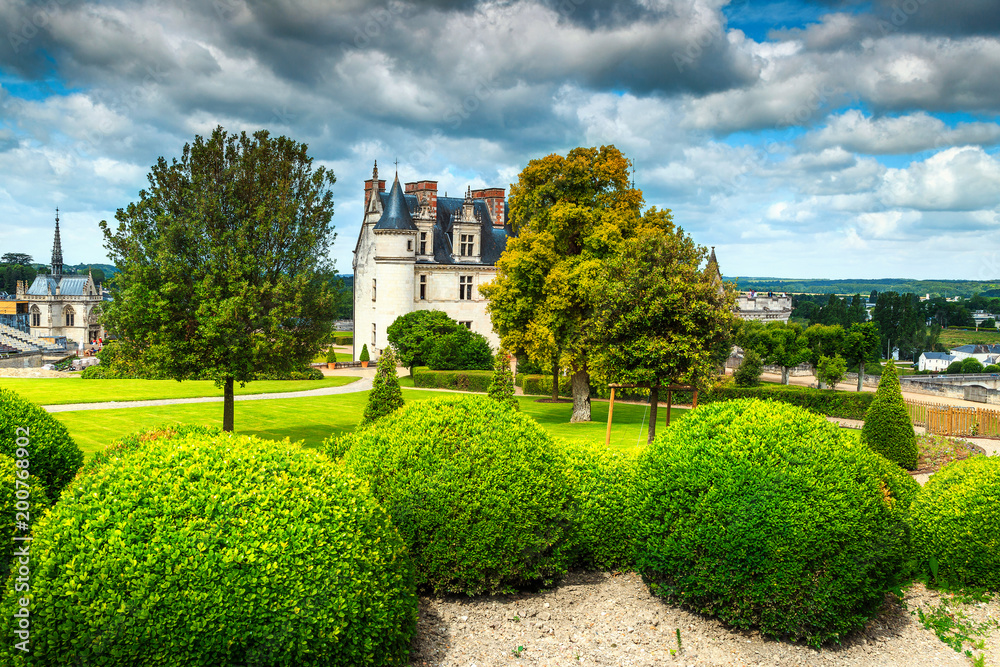 Beautiful famous castle of Amboise, Loire Valley, France, Europe