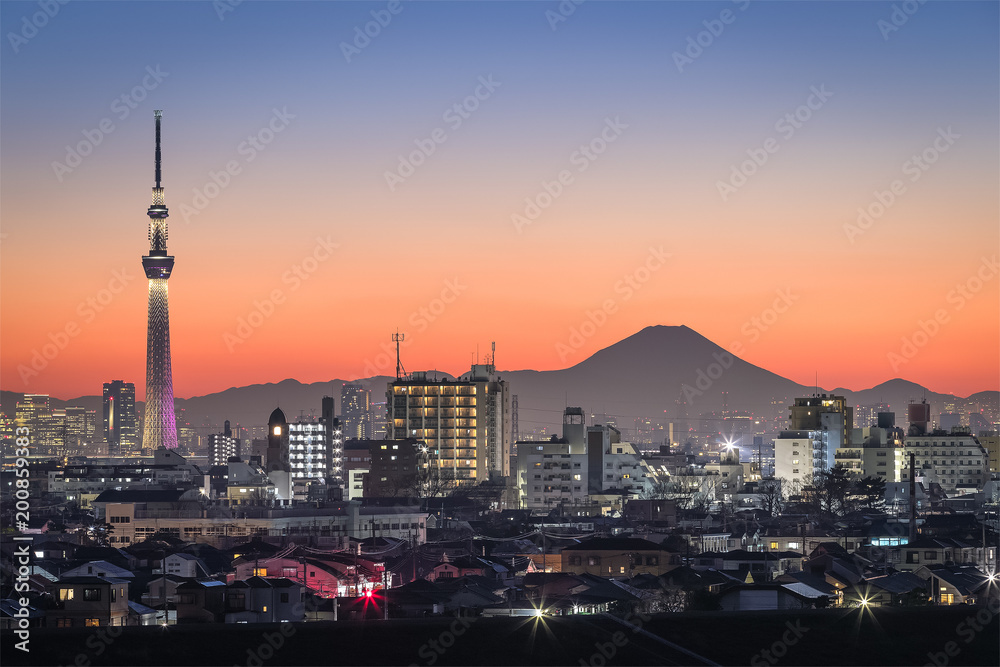 东京夜景，东京天树地标，东京市中心建筑区和胜利的富士山