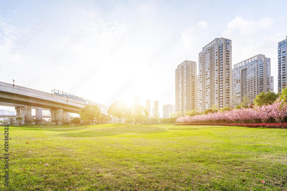 公园里有现代建筑的绿色草坪