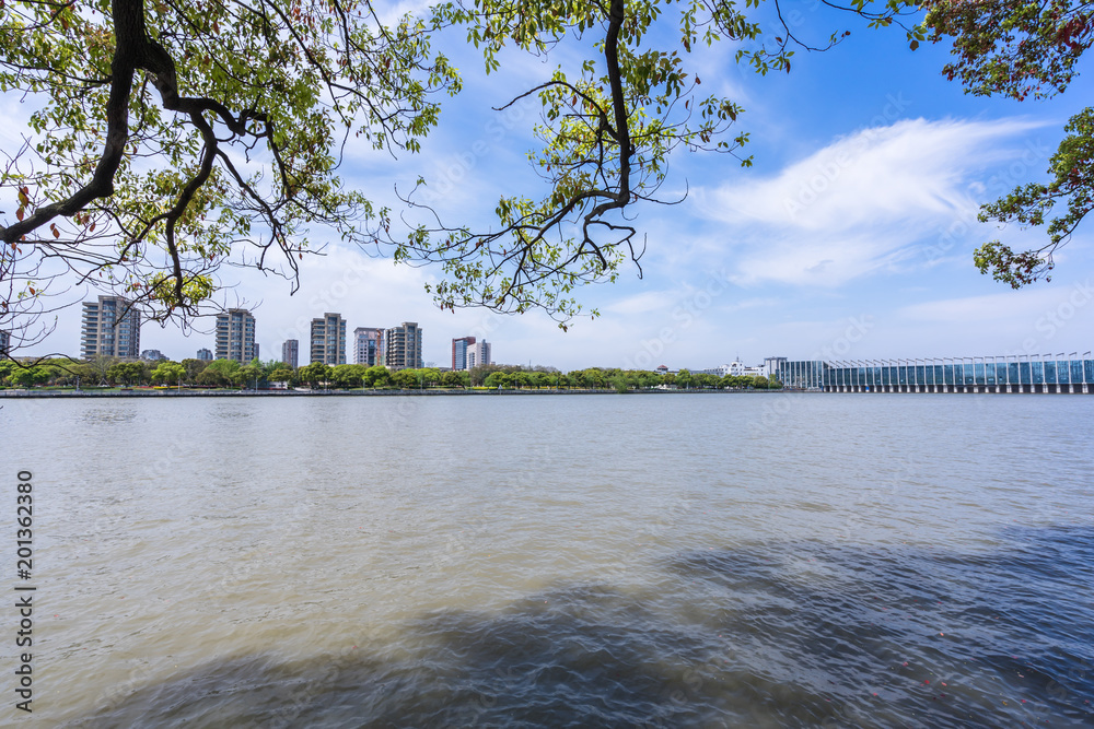 城市天际线全景