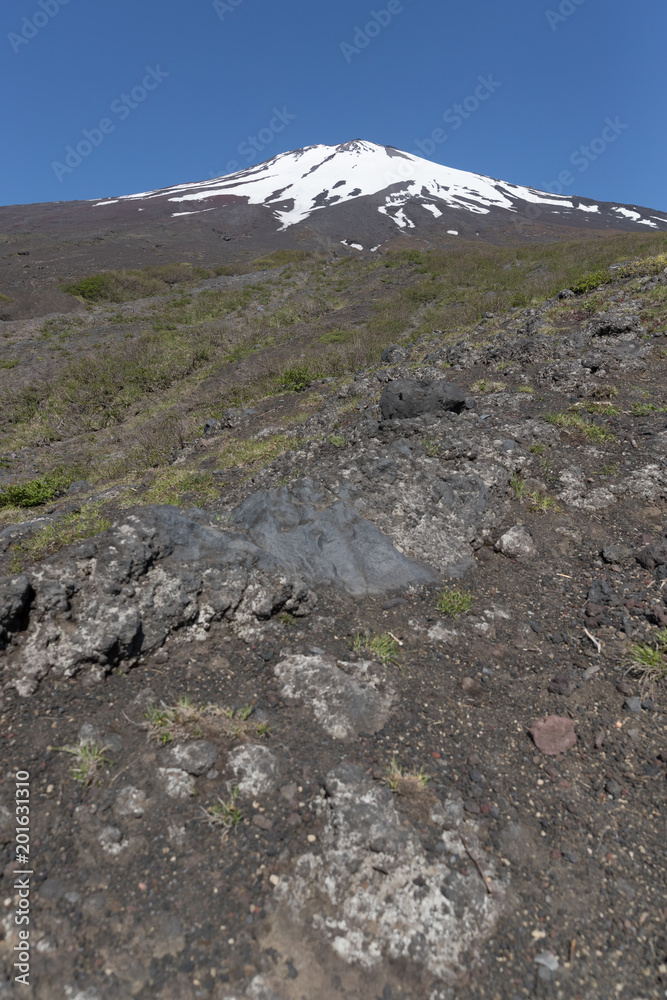 富士山之巅，雪与春天的富士山自然休闲林径