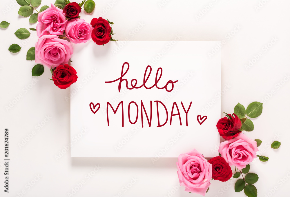 Hello Monday message with rose and leaves俯视平躺