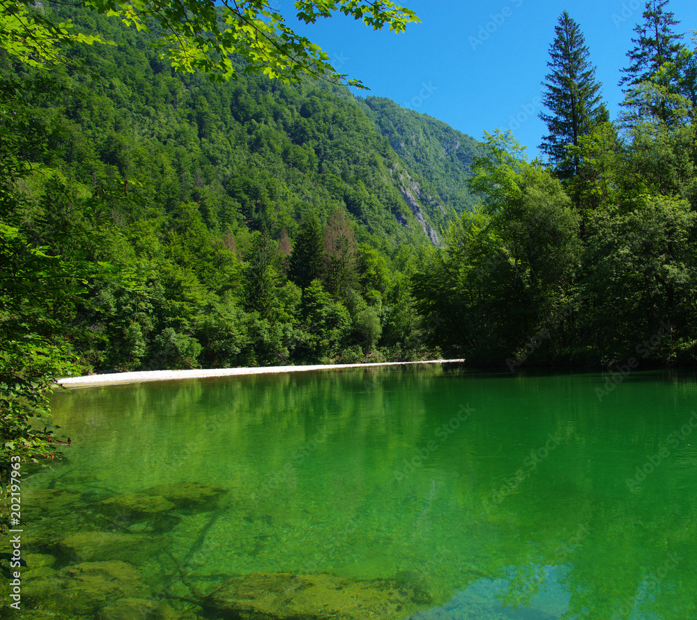 river with clear water