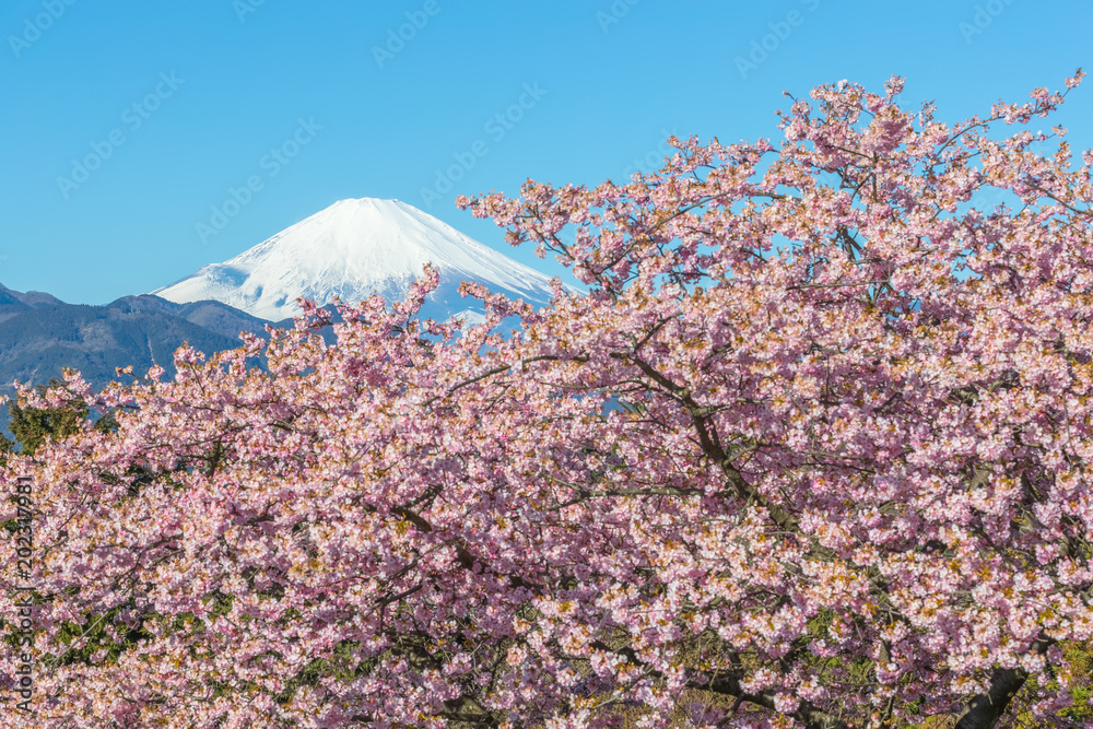 春日川津坂原与富士山