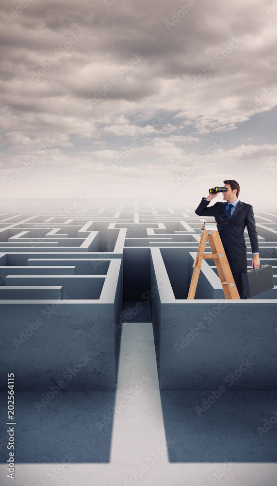 Businessman looking on a ladder against cloudy sky over maze