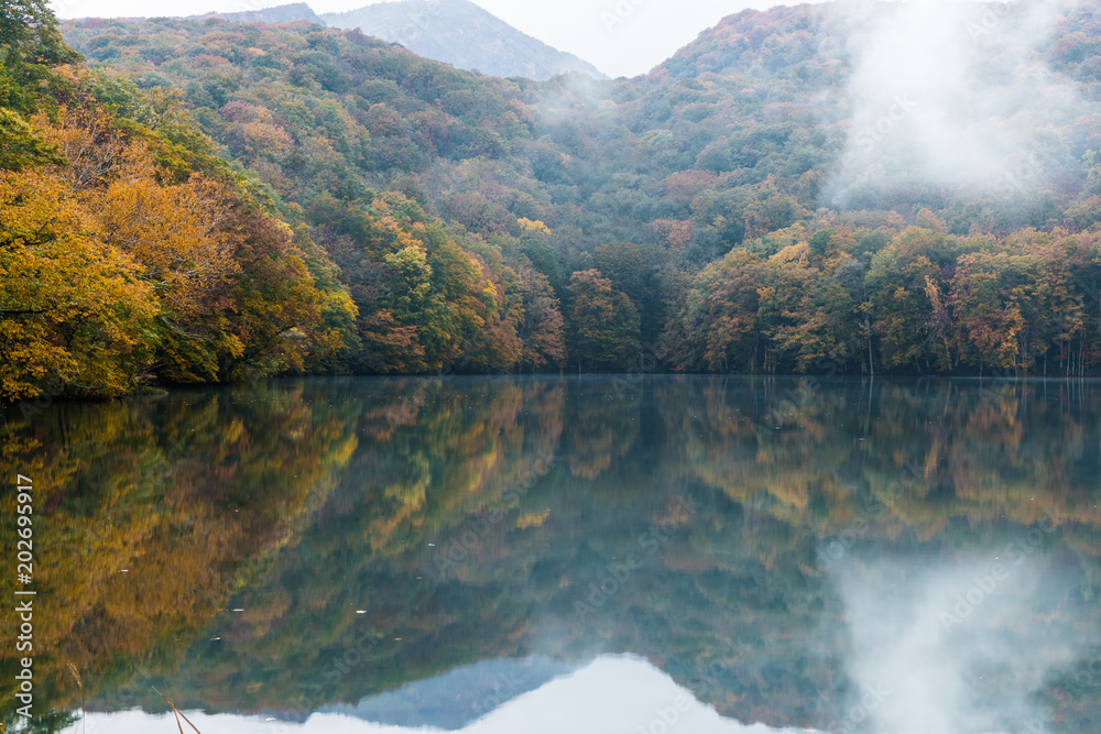 Togakushis Lake，Kagami ike池塘在秋天的早晨