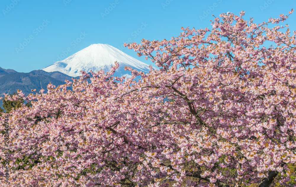 春日的川祖萨卡拉和富士山