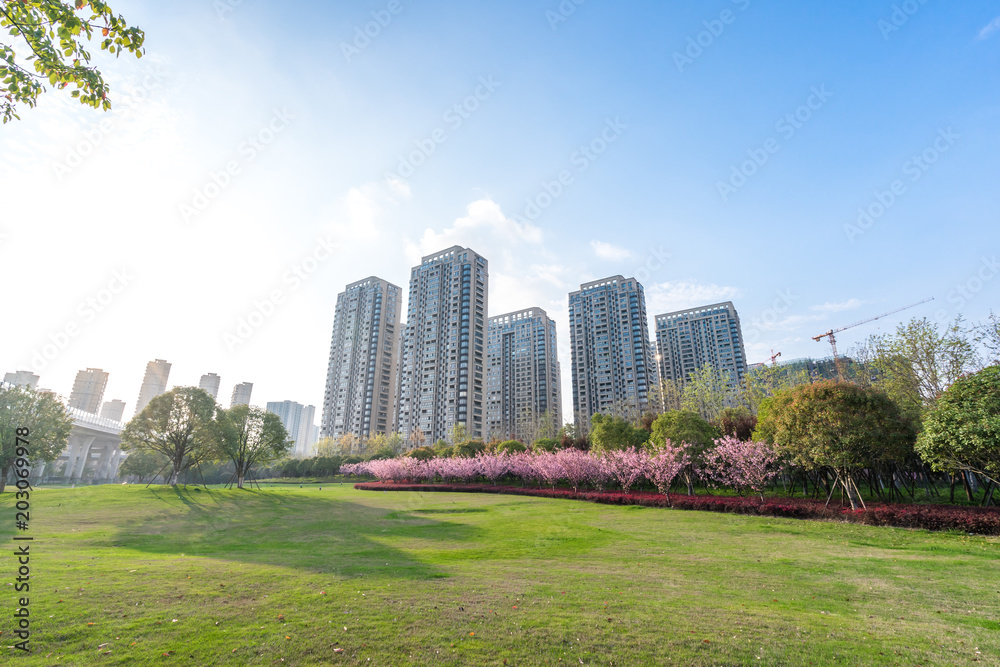 城市天际线全景