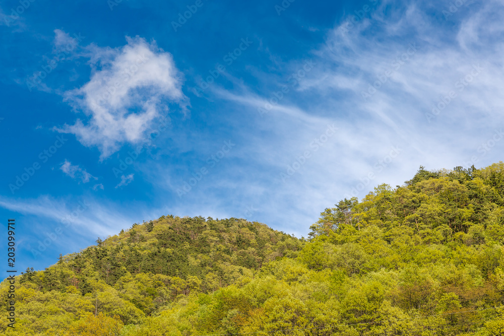 新緑の山と雲